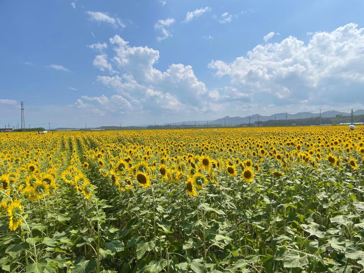 Active Resorts Miyagi Zao Екстер'єр фото